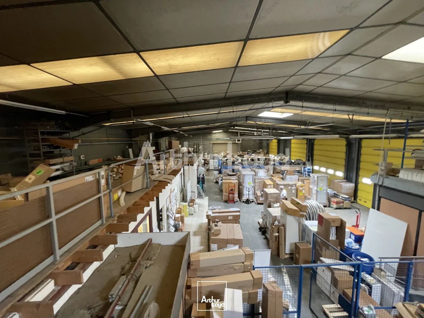 Locaux d'activité & Entrepôts - Vente - SAINT LAURENT BLANGY - 62223 - 1444-1444 - 7719132