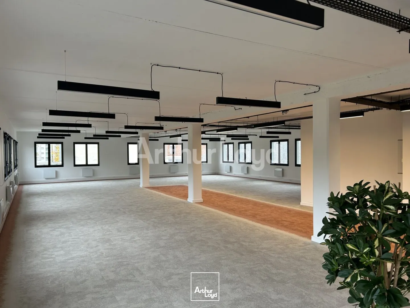 Bureaux - Location - LILLE - 59000 - 274.89-1105.69 - 7719176