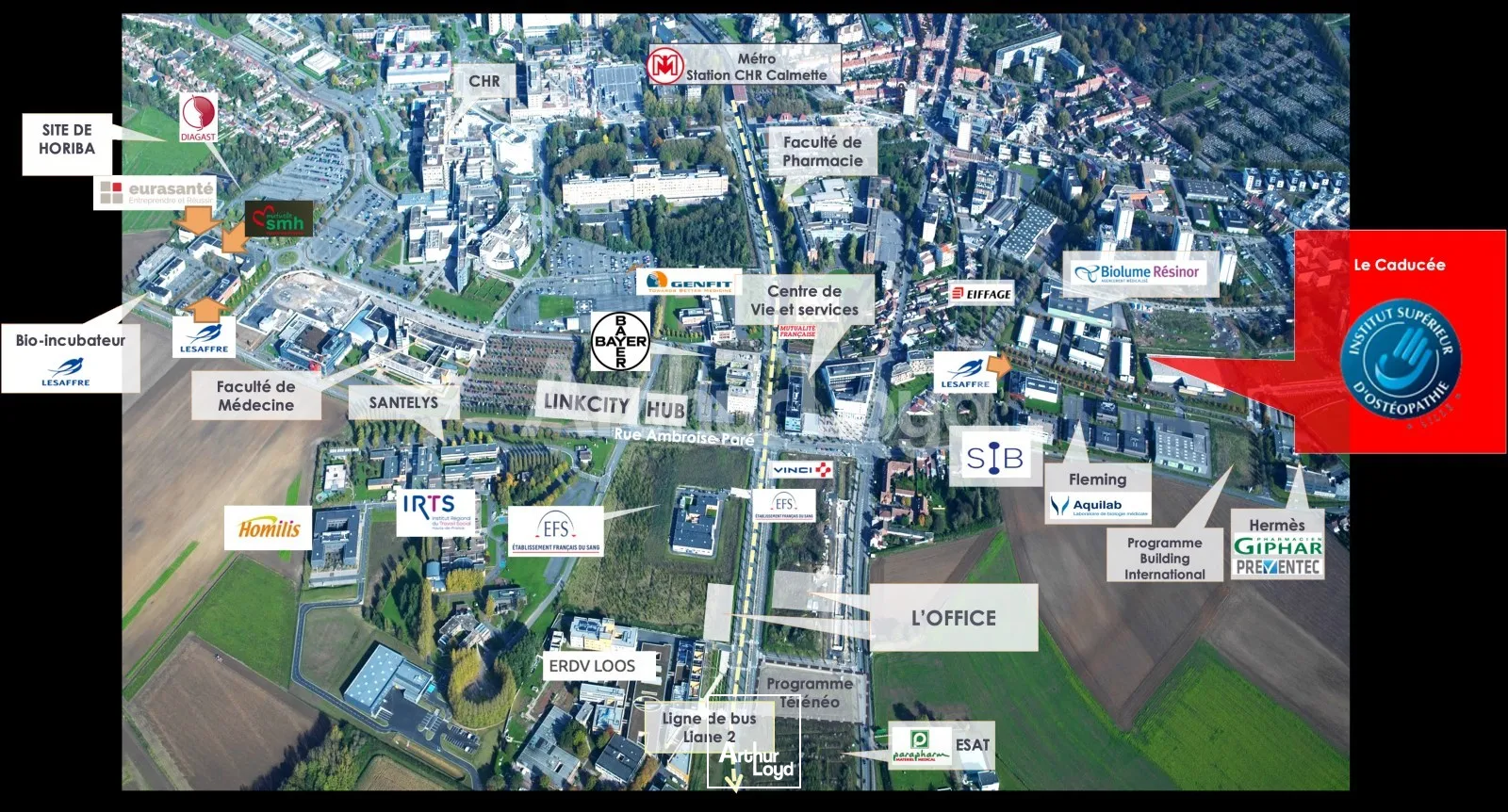 Bureaux - Vente - LOOS - 59120 - 874-874 - 7719252