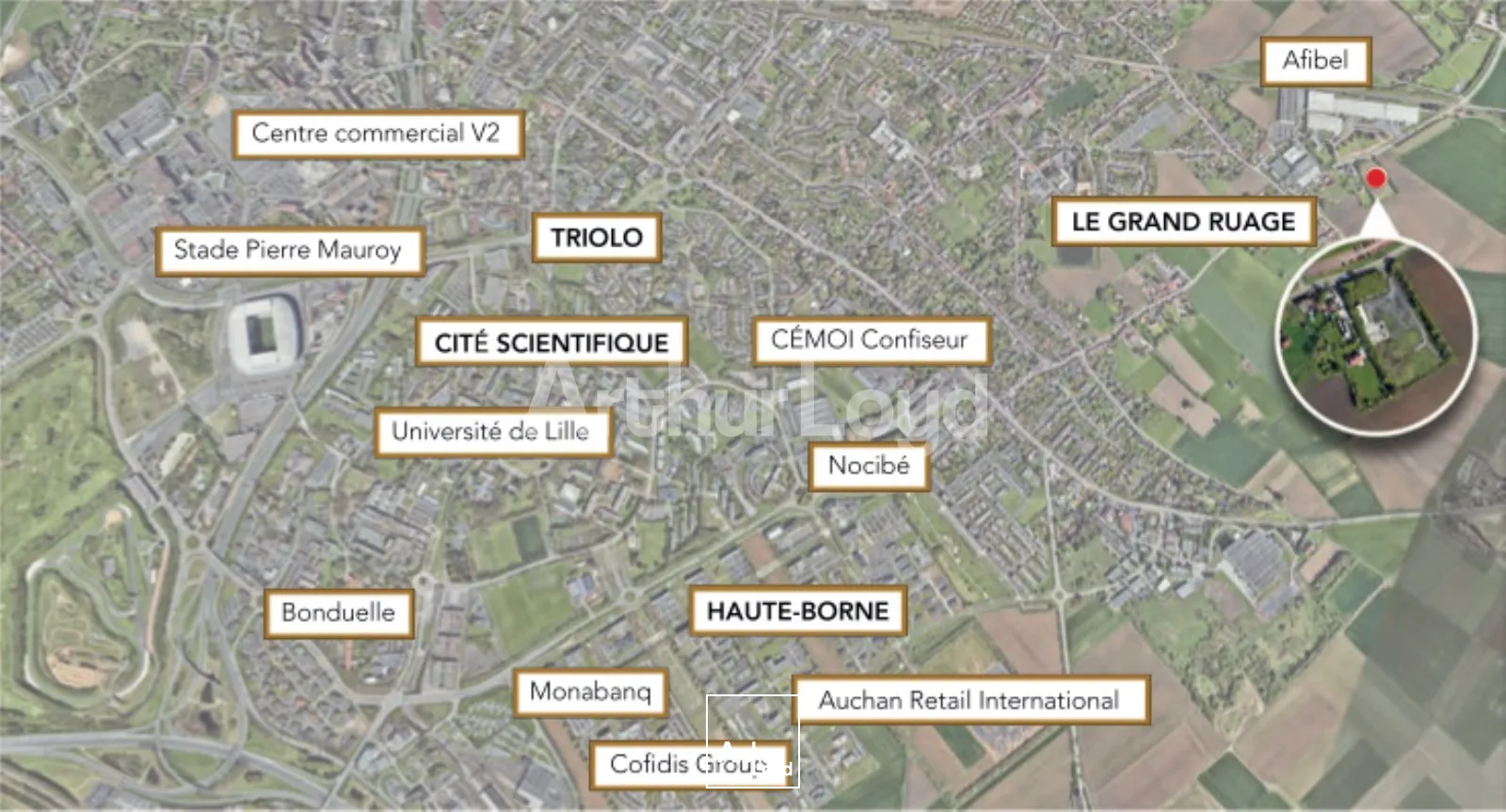 Bureaux - Location - VILLENEUVE D'ASCQ - 59650 - 80-1128 - 7719269