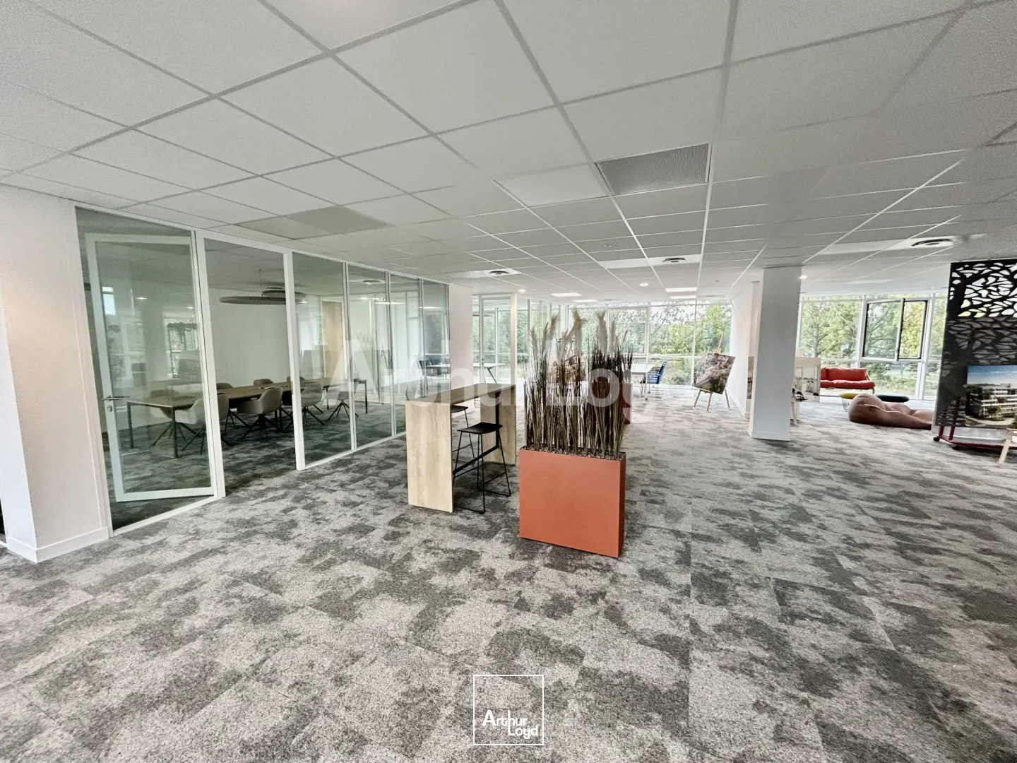 Bureaux - Location - LA MADELEINE - 59110 - 520-8019 - 7719301