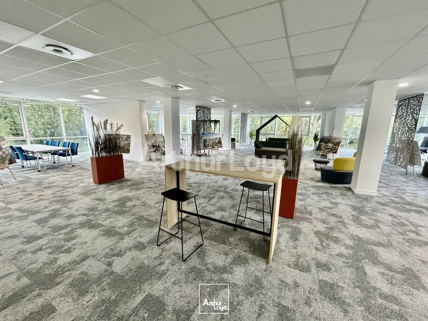 Bureaux - Location - LA MADELEINE - 59110 - 520-8019 - 7719307