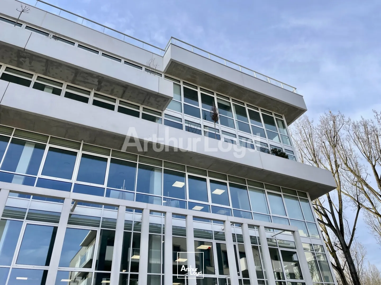 Bureaux - Location - LA MADELEINE - 59110 - 520-8019 - 7719318