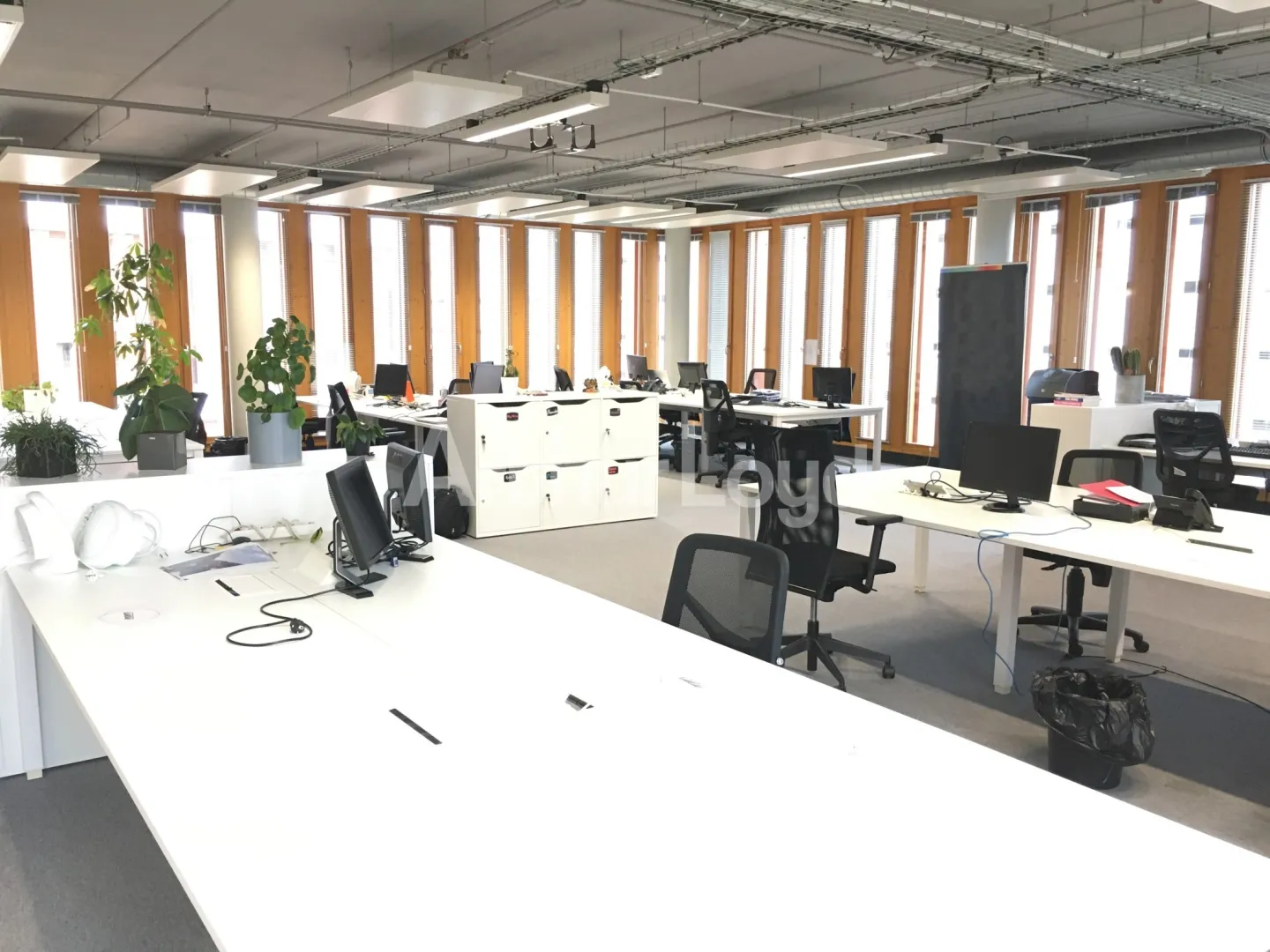 Bureaux - Location - LILLE - 59000 - 100-2239 - 7719327