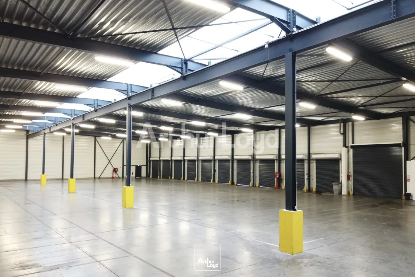 Locaux d'activité & Entrepôts - Location - RONCQ - 59223 - 300-2800 - 7719468