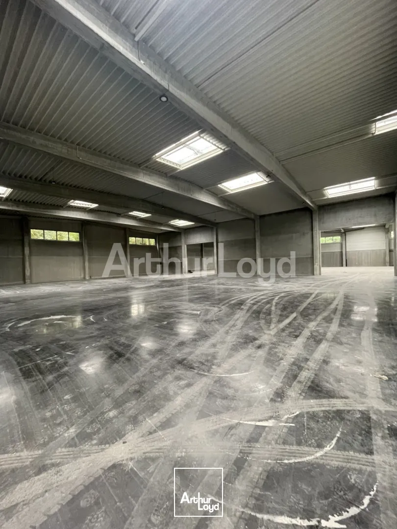 Locaux d'activité & Entrepôts - Location - SAINT ANDRE LEZ LILLE - 59350 - 888-3017 - 7719514