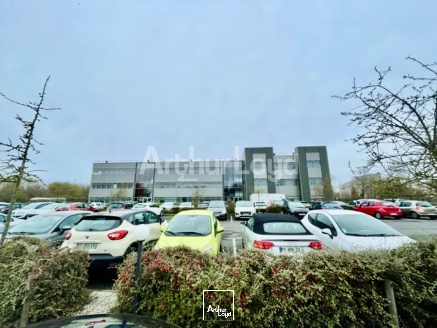 Bureaux - Location - VILLENEUVE D'ASCQ - 59650 - 2923-2923 - 7719525