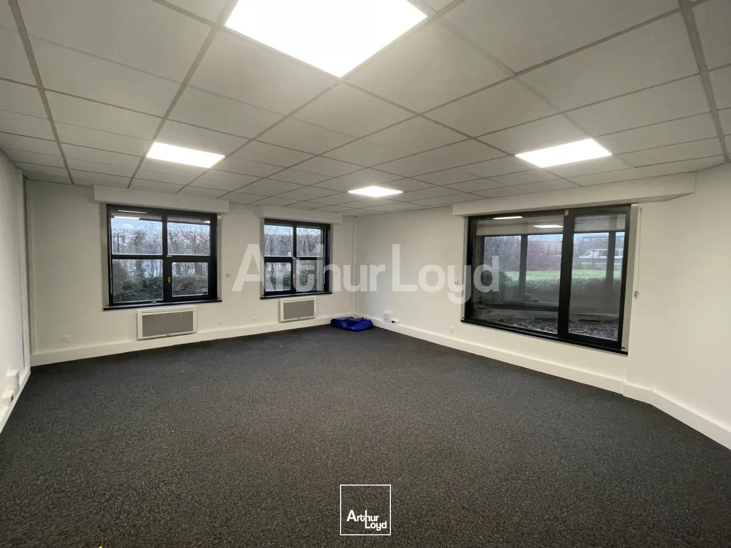 Bureaux - Location - VILLENEUVE D'ASCQ - 59650 - 378-378 - 7719543