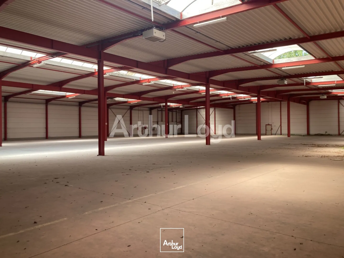 Locaux d'activité & Entrepôts - Location - HALLUIN - 59250 - 2640-2640 - 7719583