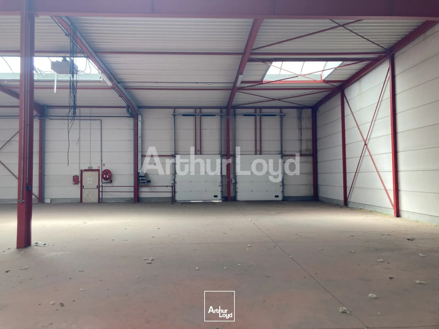 Locaux d'activité & Entrepôts - Location - HALLUIN - 59250 - 2640-2640 - 7719584