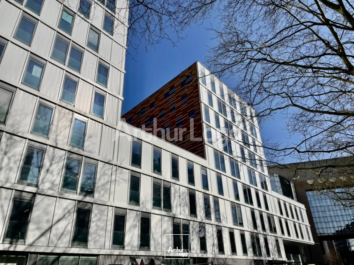 Bureaux - Location - LILLE - 59000 - 124-15491.4 - 7719604