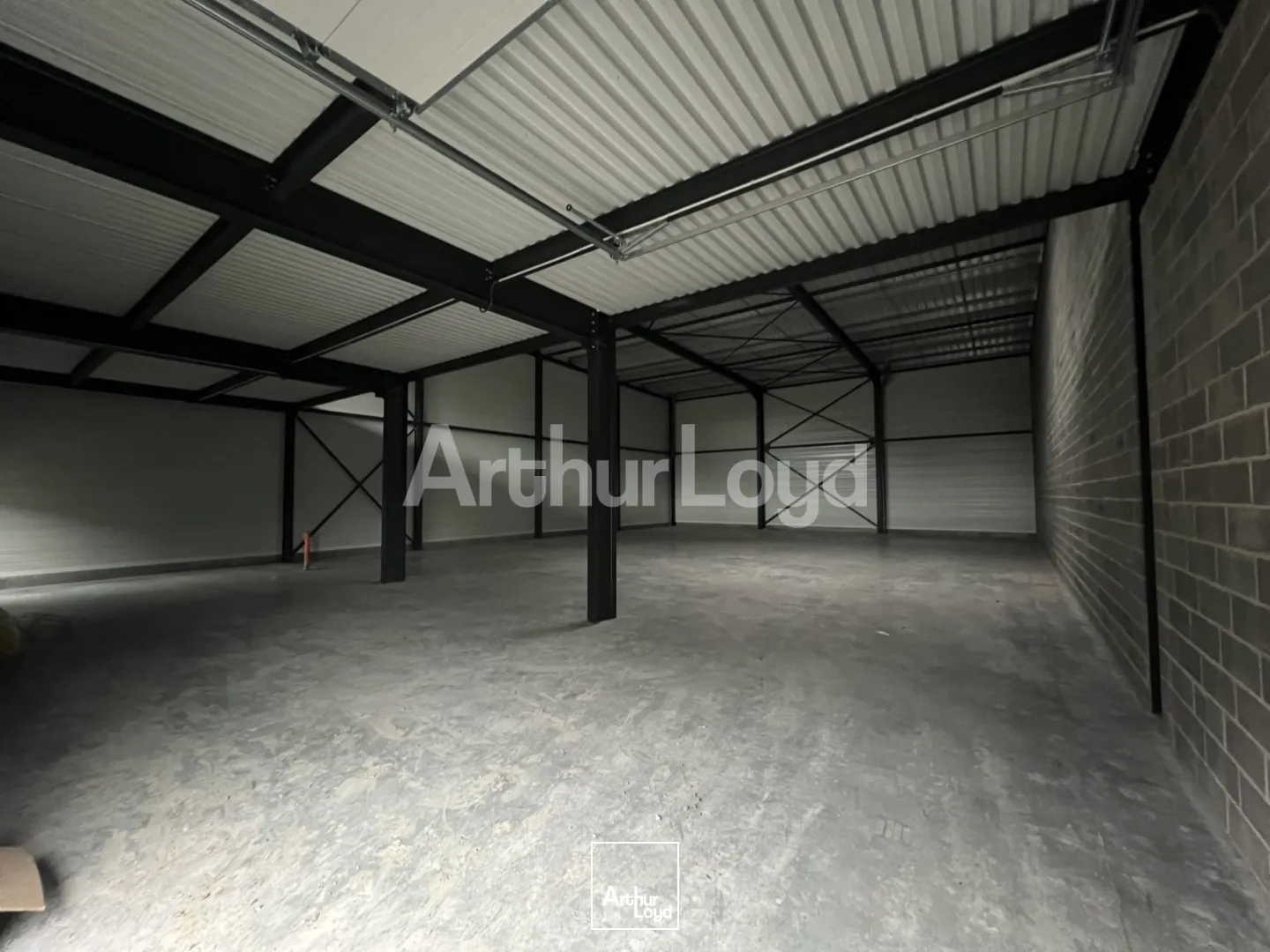 Locaux d'activité & Entrepôts - Location - SAINGHIN EN MELANTOIS - 59262 - 226-7873 - 7719632