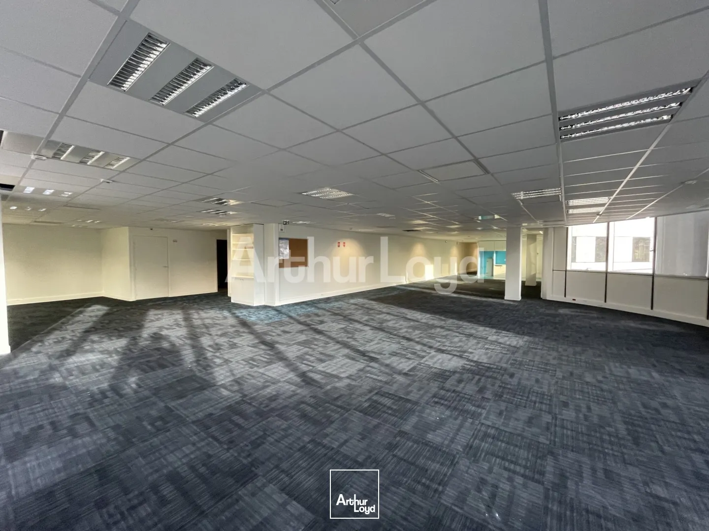 Bureaux - Location - LILLE - 59000 - 133-1010 - 7719656