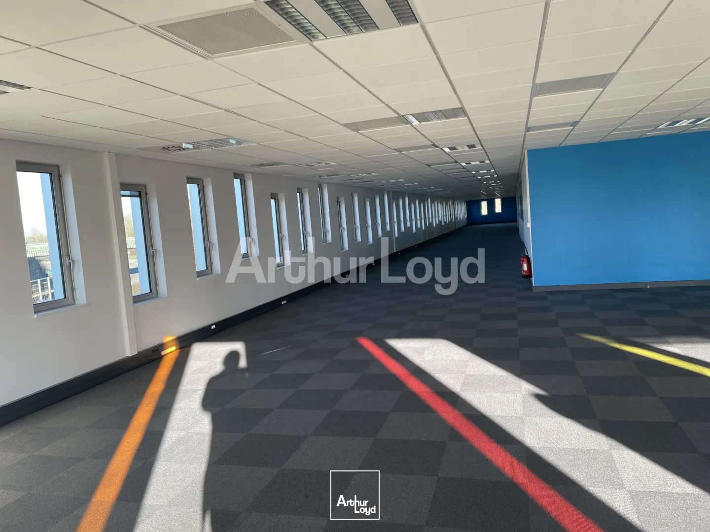 Bureaux - Location - VILLENEUVE D'ASCQ - 59650 - 944-2834 - 7719676