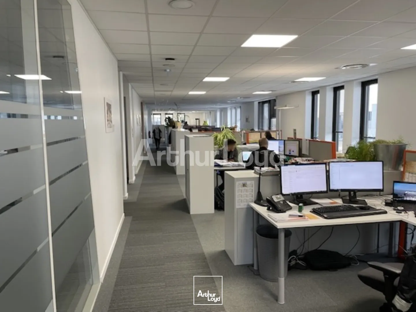 Bureaux - Location - LESQUIN - 59810 - 310.4-984.57 - 7719715