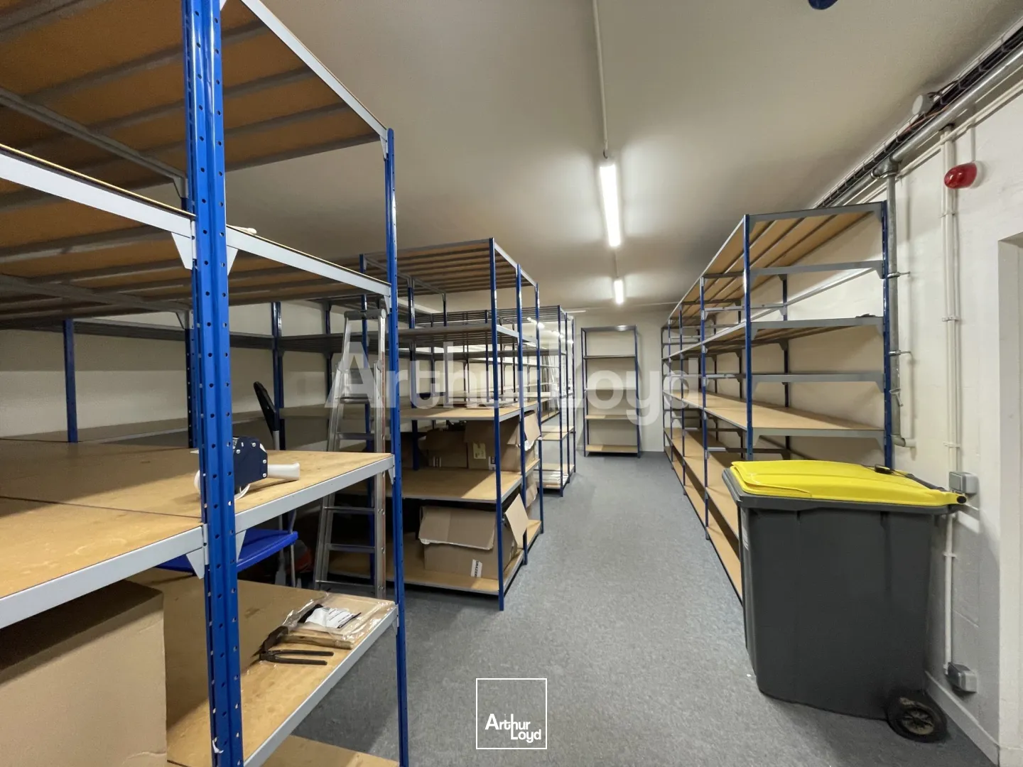 Locaux commerciaux - Location - BOIS GRENIER - 59280 - 705-705 - 7719774