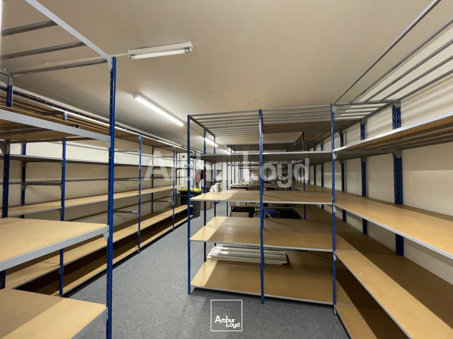 Locaux commerciaux - Location - BOIS GRENIER - 59280 - 705-705 - 7719777