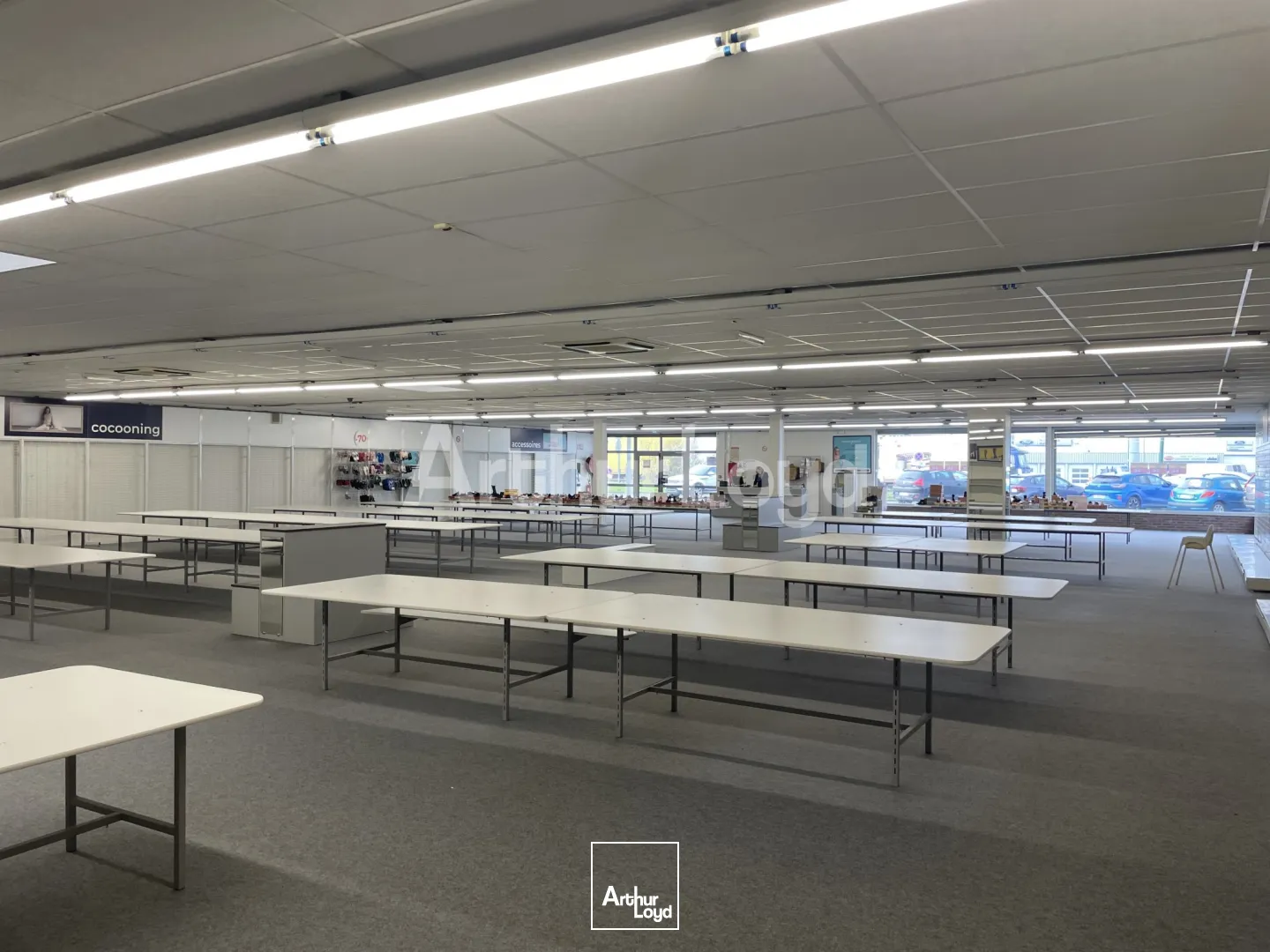 Locaux commerciaux - Location - BOIS GRENIER - 59280 - 705-705 - 7719778