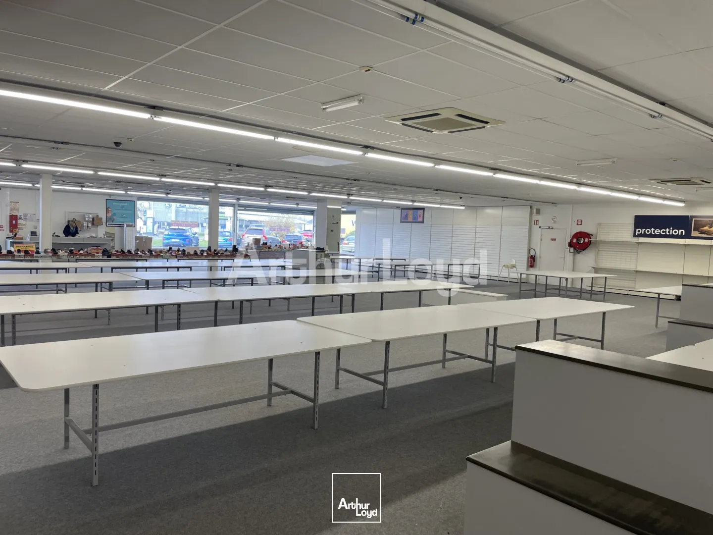 Locaux commerciaux - Location - BOIS GRENIER - 59280 - 705-705 - 7719779