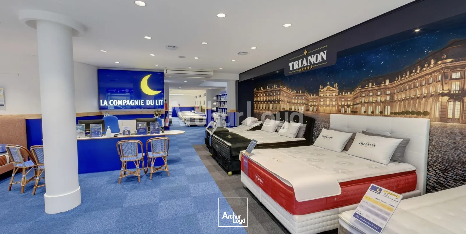 Locaux commerciaux - Location - LILLE - 59000 - 427.16-427.16 - 7719974