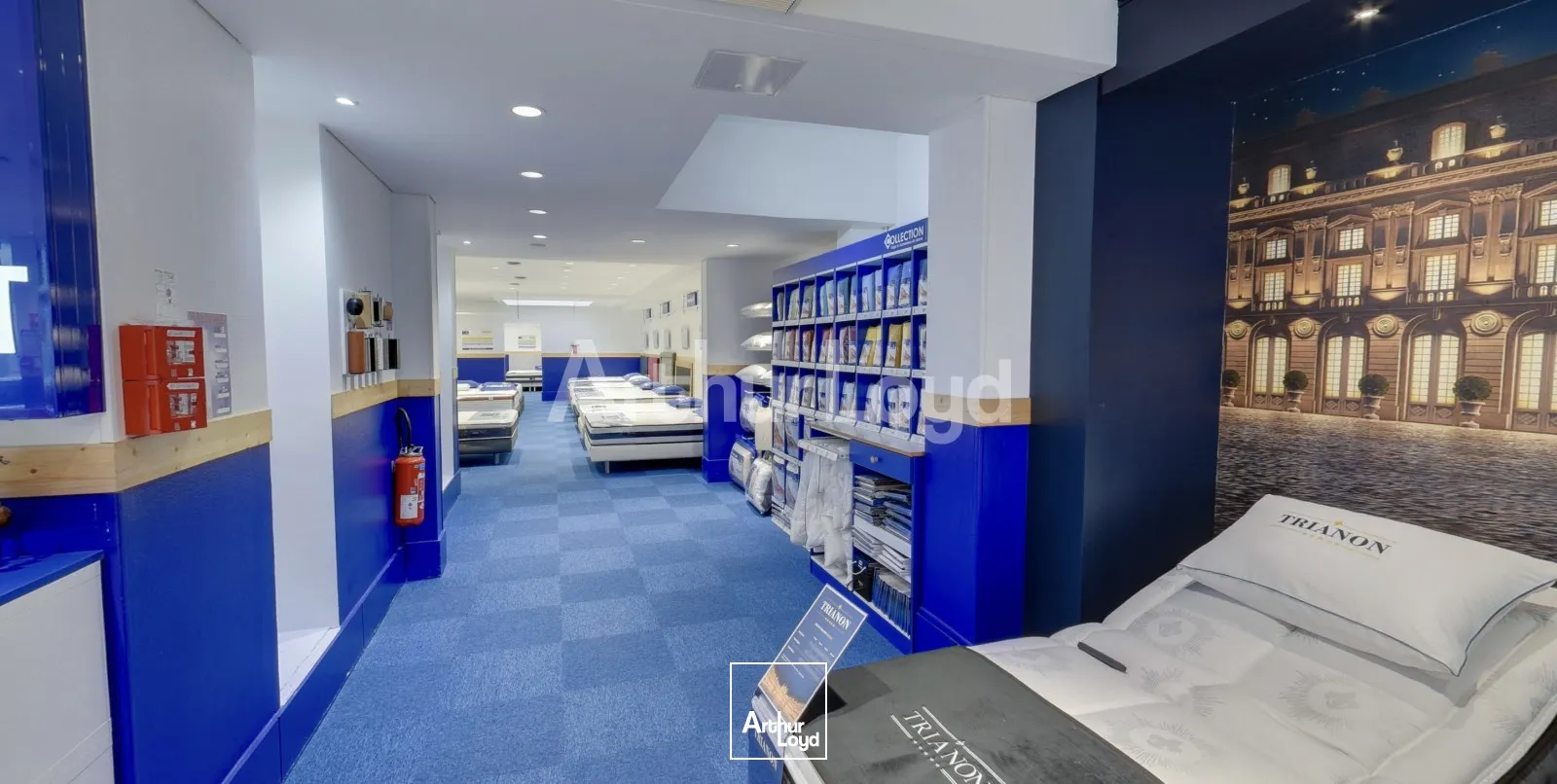 Locaux commerciaux - Location - LILLE - 59000 - 427.16-427.16 - 7719975