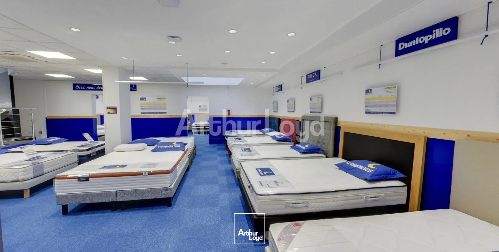 Locaux commerciaux - Location - LILLE - 59000 - 427.16-427.16 - 7719980