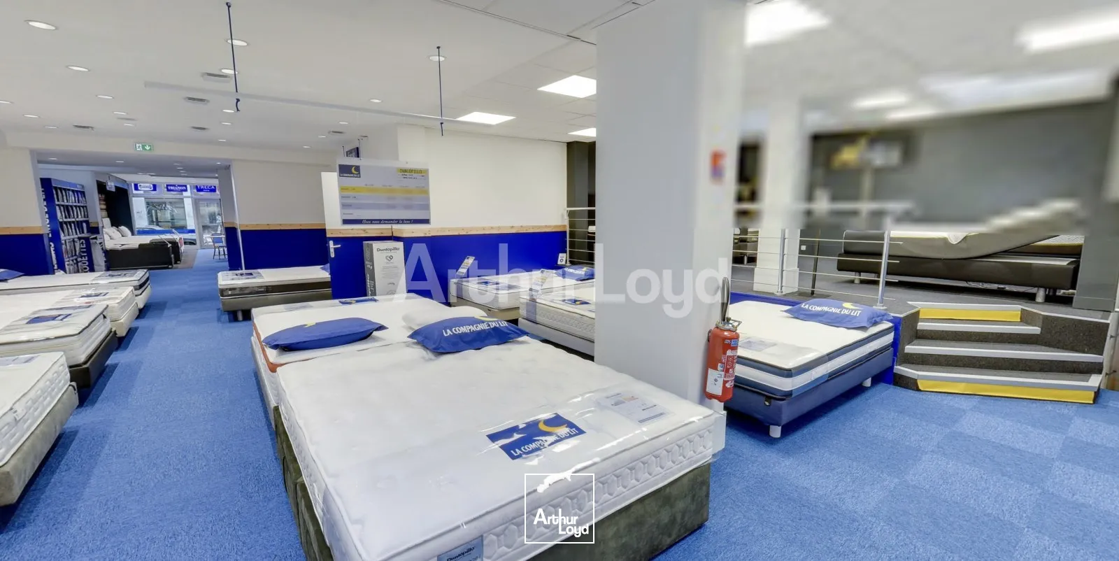 Locaux commerciaux - Location - LILLE - 59000 - 427.16-427.16 - 7719982