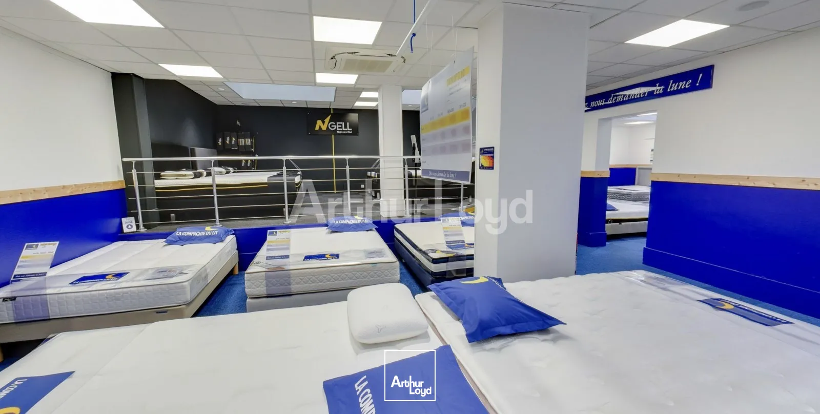 Locaux commerciaux - Location - LILLE - 59000 - 427.16-427.16 - 7719981