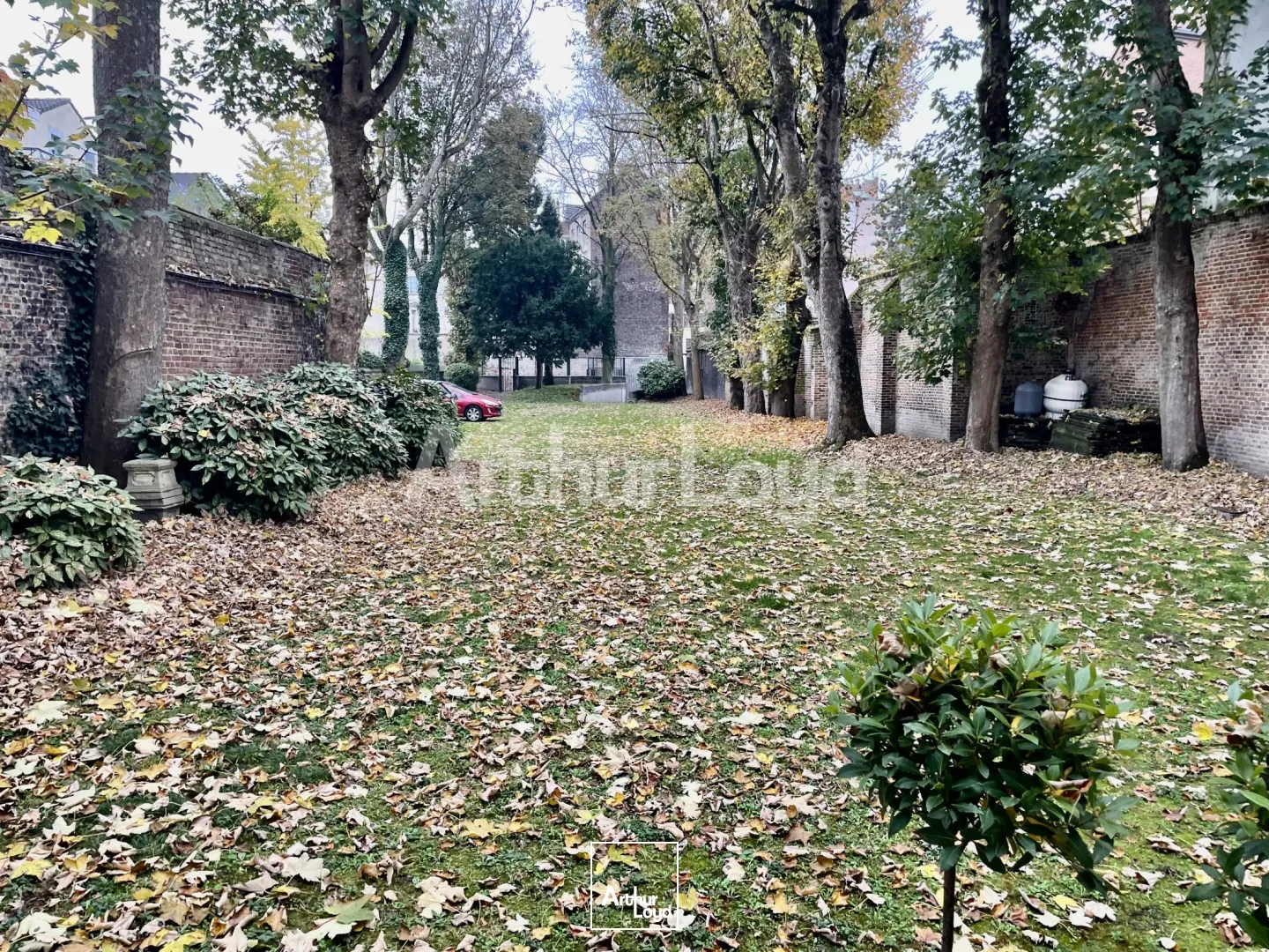 Bureaux - Location - LILLE - 59000 - 1167-1167 - 7720372