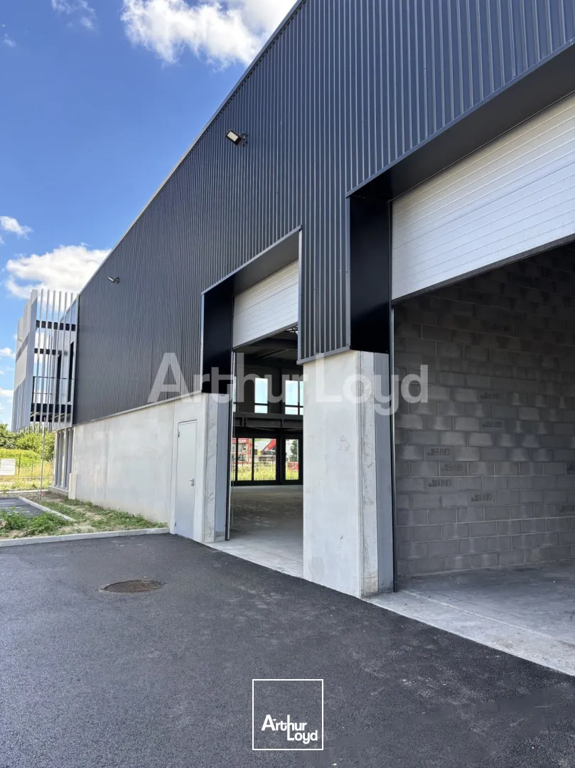 Locaux d'activité & Entrepôts - Location - AVELIN - 59710 - 268-1292 - 7720424