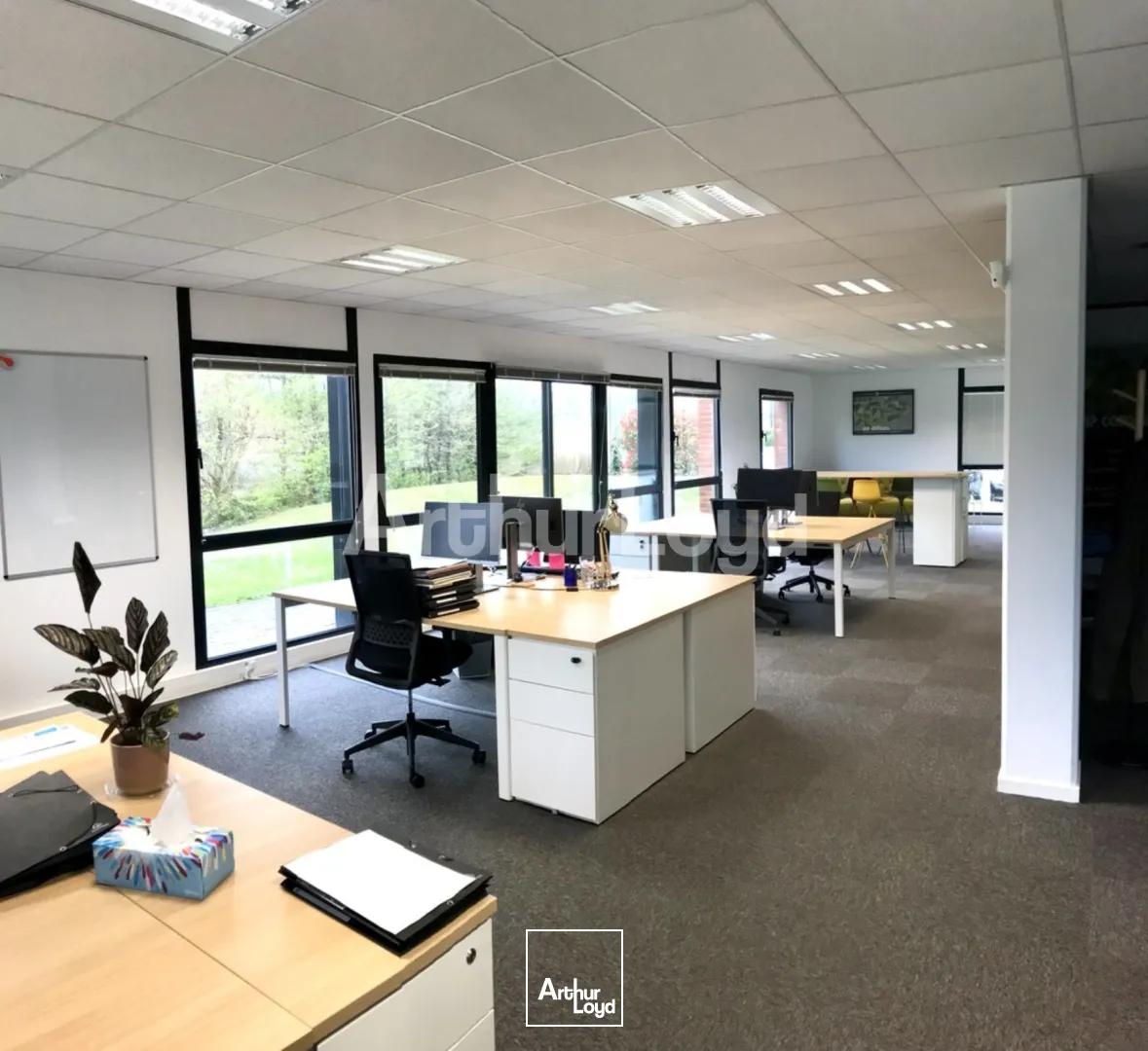 Bureaux - Location - WAMBRECHIES - 59118 - 125-250 - 7720620