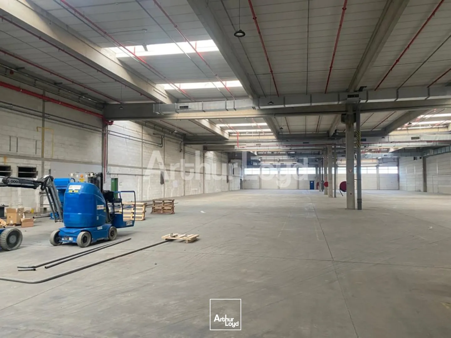 Locaux d'activité & Entrepôts - Location - VILLENEUVE D'ASCQ - 59650 - 19600-19600 - 7720627