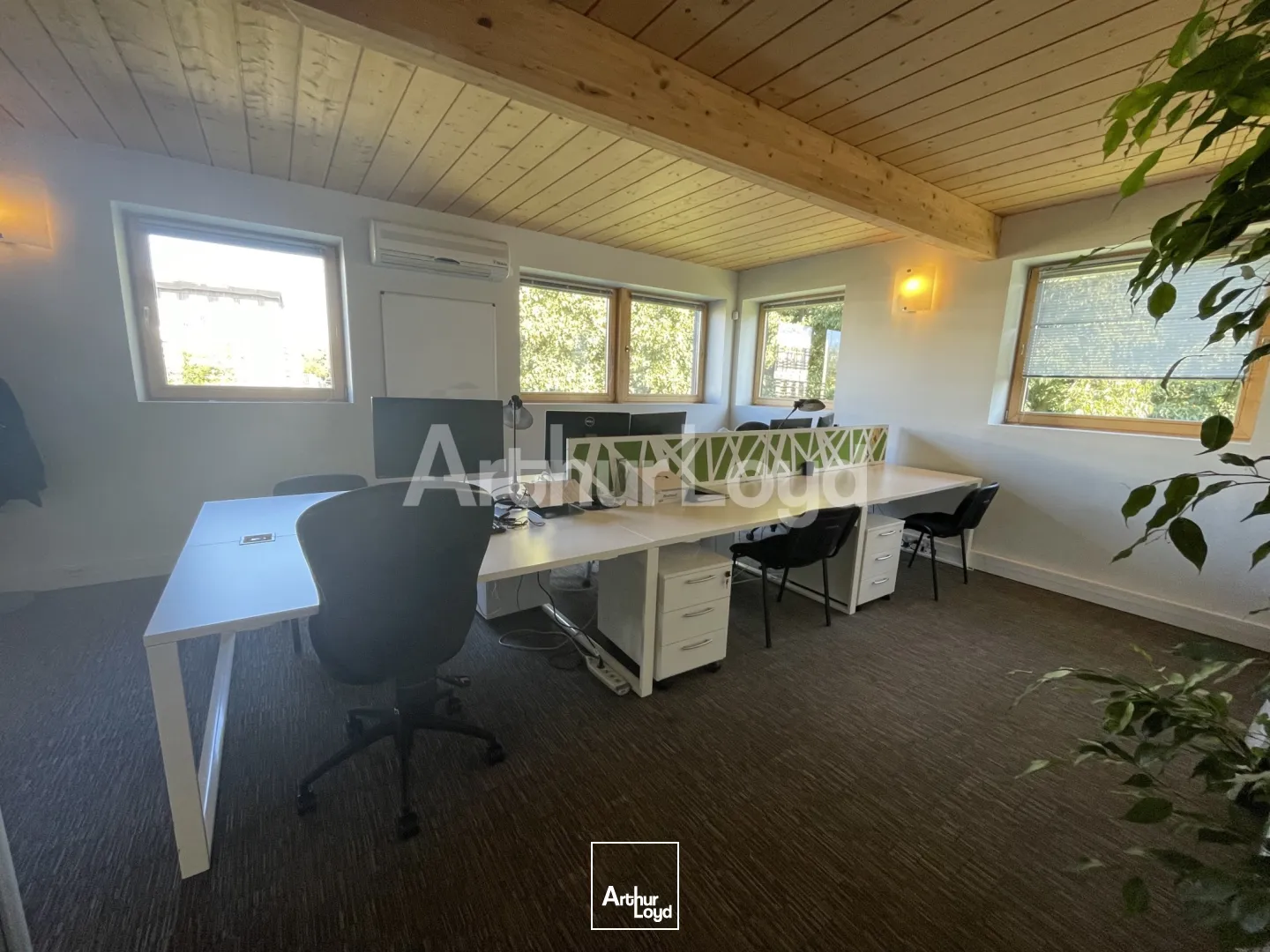 Bureaux - Location - SAINGHIN EN MELANTOIS - 59262 - 344-344 - 7720660