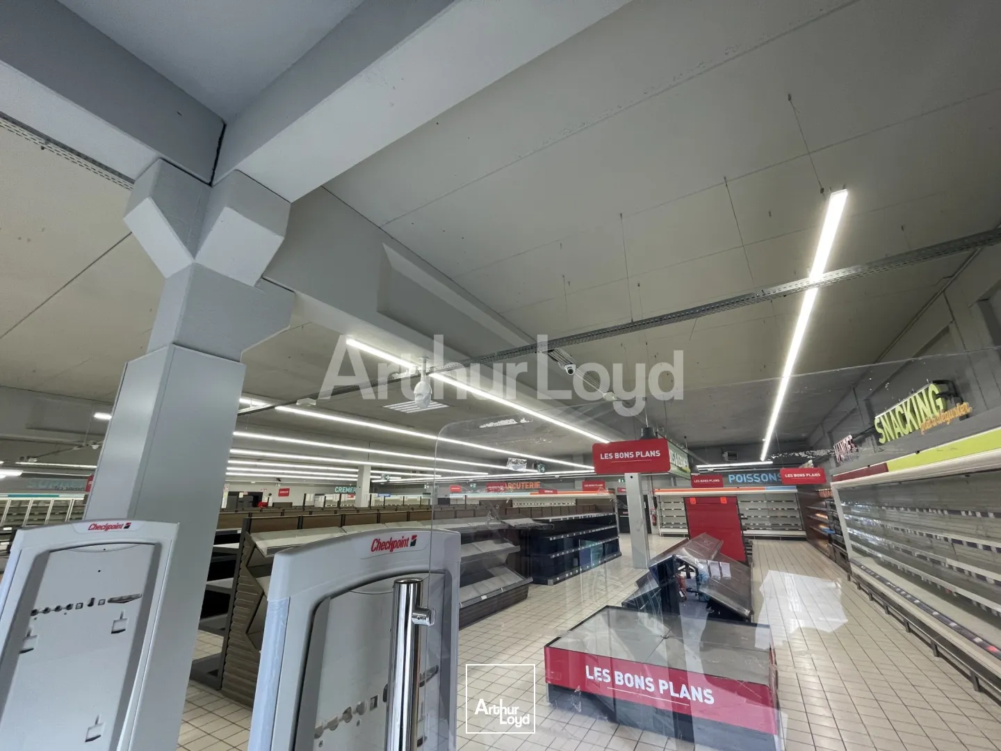 Locaux commerciaux - Location - PROVILLE - 59267 - 1250-1250 - 7720662