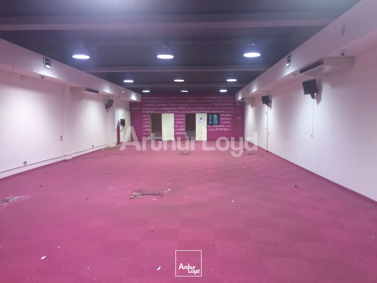 Locaux commerciaux - Location - PROVILLE - 59267 - 299-299 - 7720724