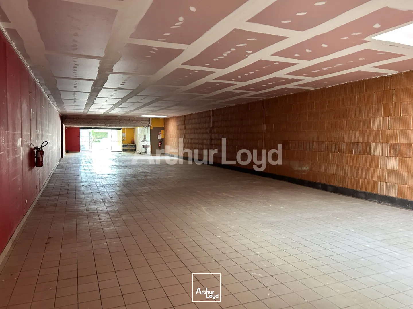 Locaux commerciaux - Location - WASQUEHAL - 59290 - 247-508 - 7720759