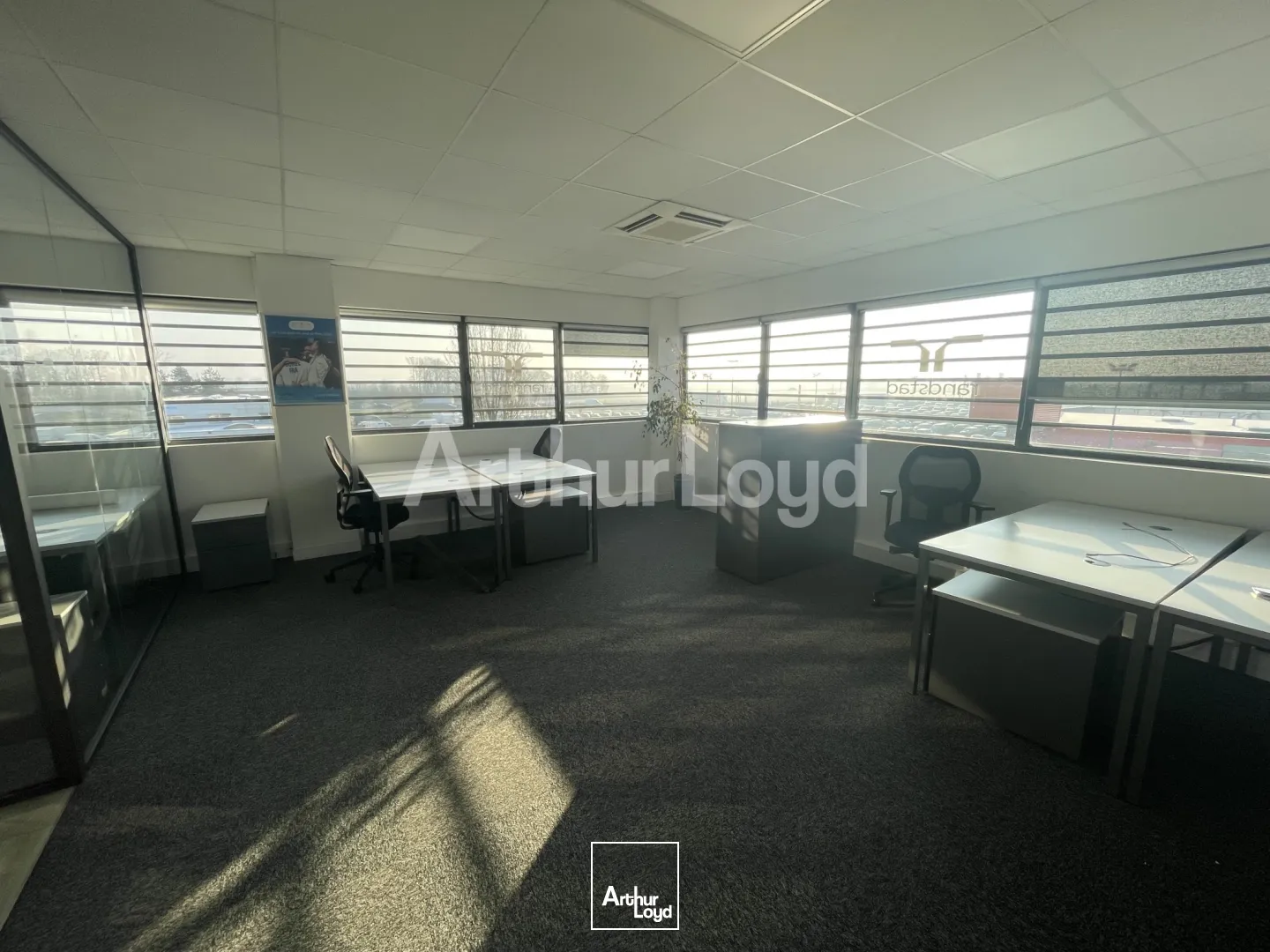 Bureaux - Location - VENDEVILLE - 59175 - 126-126 - 7721025