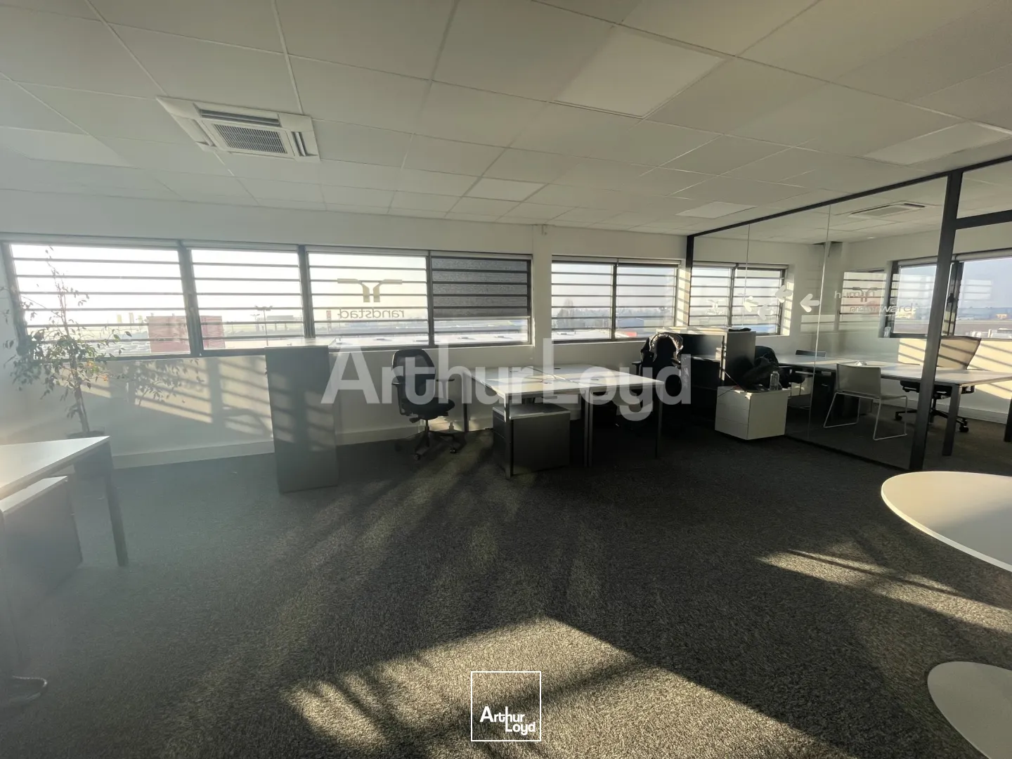 Bureaux - Location - VENDEVILLE - 59175 - 126-126 - 7721026