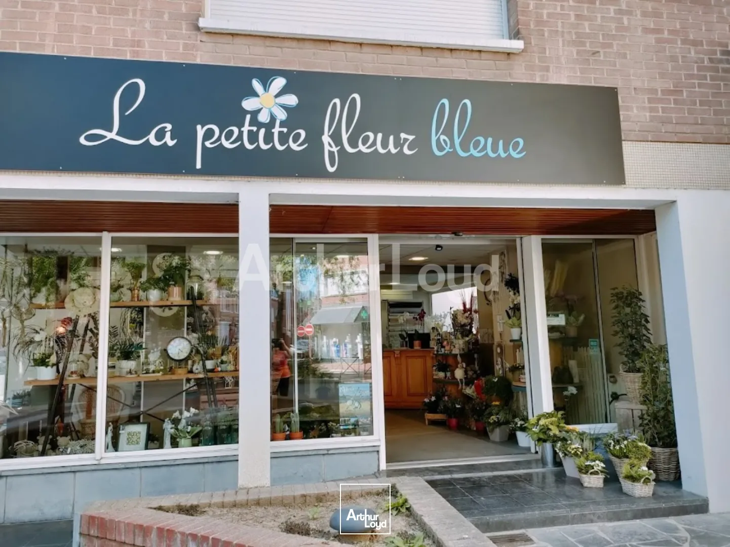 Locaux commerciaux - Vente - HAZEBROUCK - 59190 - 90-90 - 7721287
