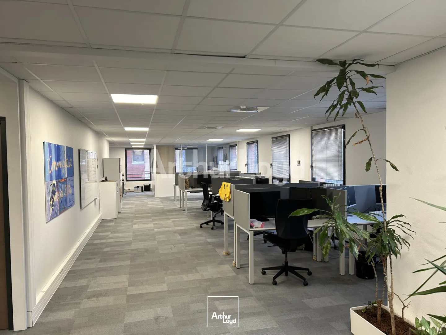 Bureaux - Location - WASQUEHAL - 59290 - 151-1231.2 - 7721411