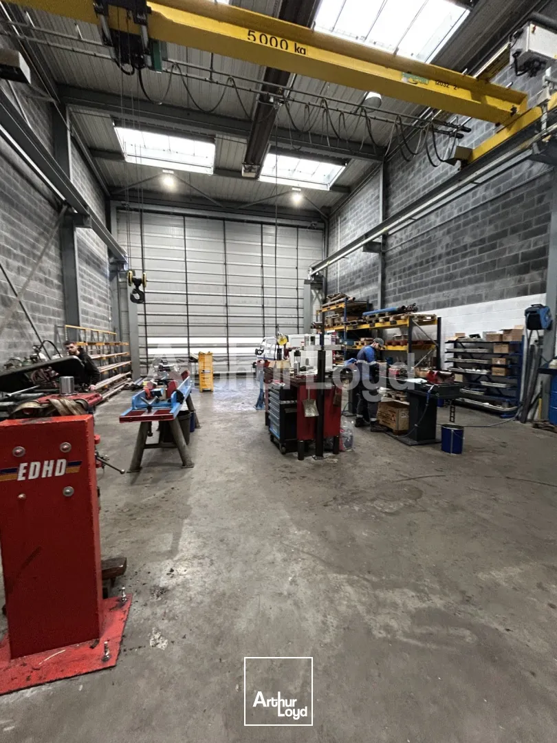 Locaux d'activité & Entrepôts - Location - HALLENNES LEZ HAUBOURDIN - 59320 - 1924-1924 - 7721448