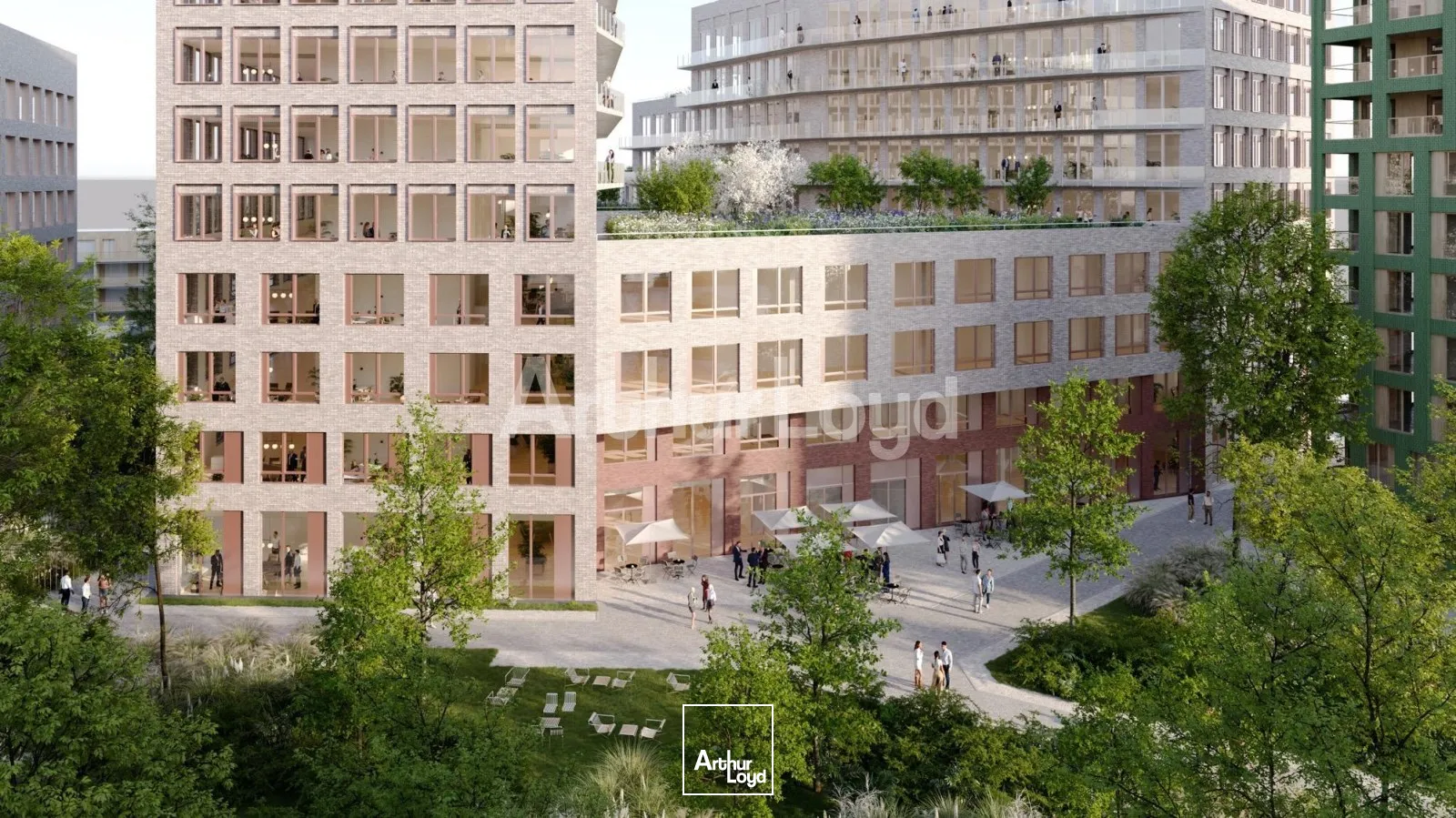 Bureaux - Location - LILLE - 59800 - 243-55361 - 7721609