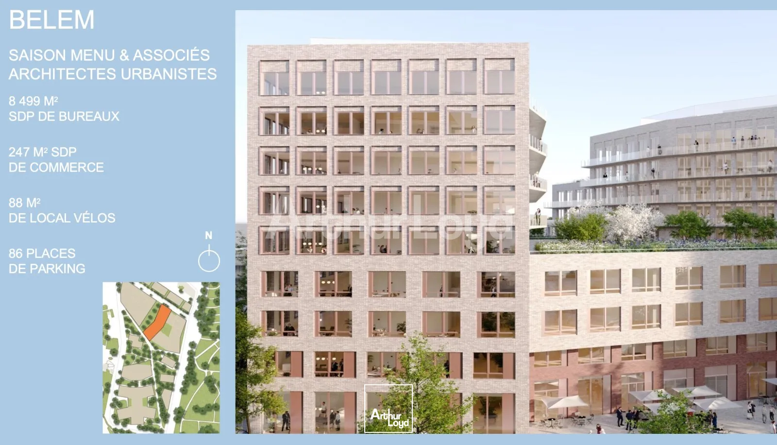 Bureaux - Location - LILLE - 59800 - 243-55361 - 7721603