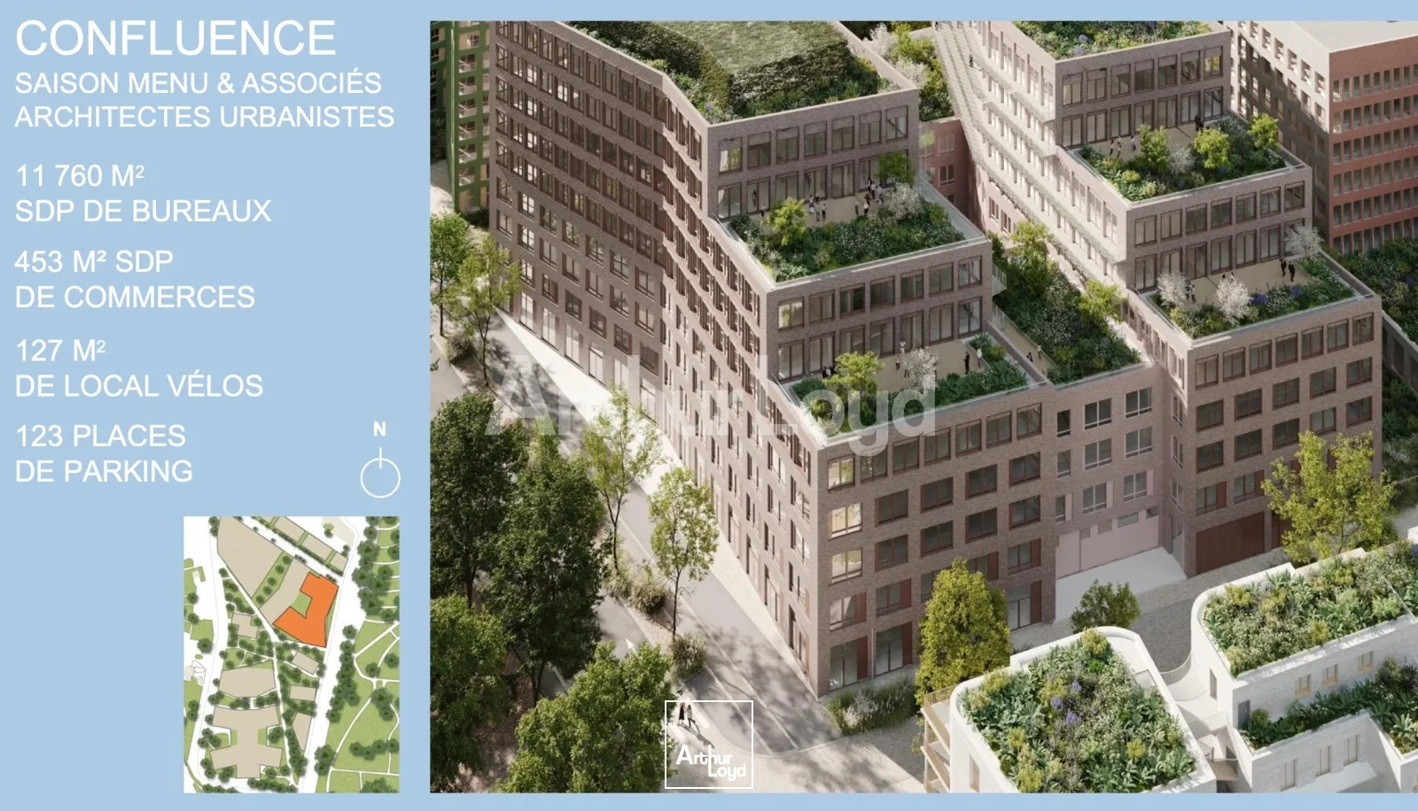 Bureaux - Location - LILLE - 59800 - 243-55361 - 7721601