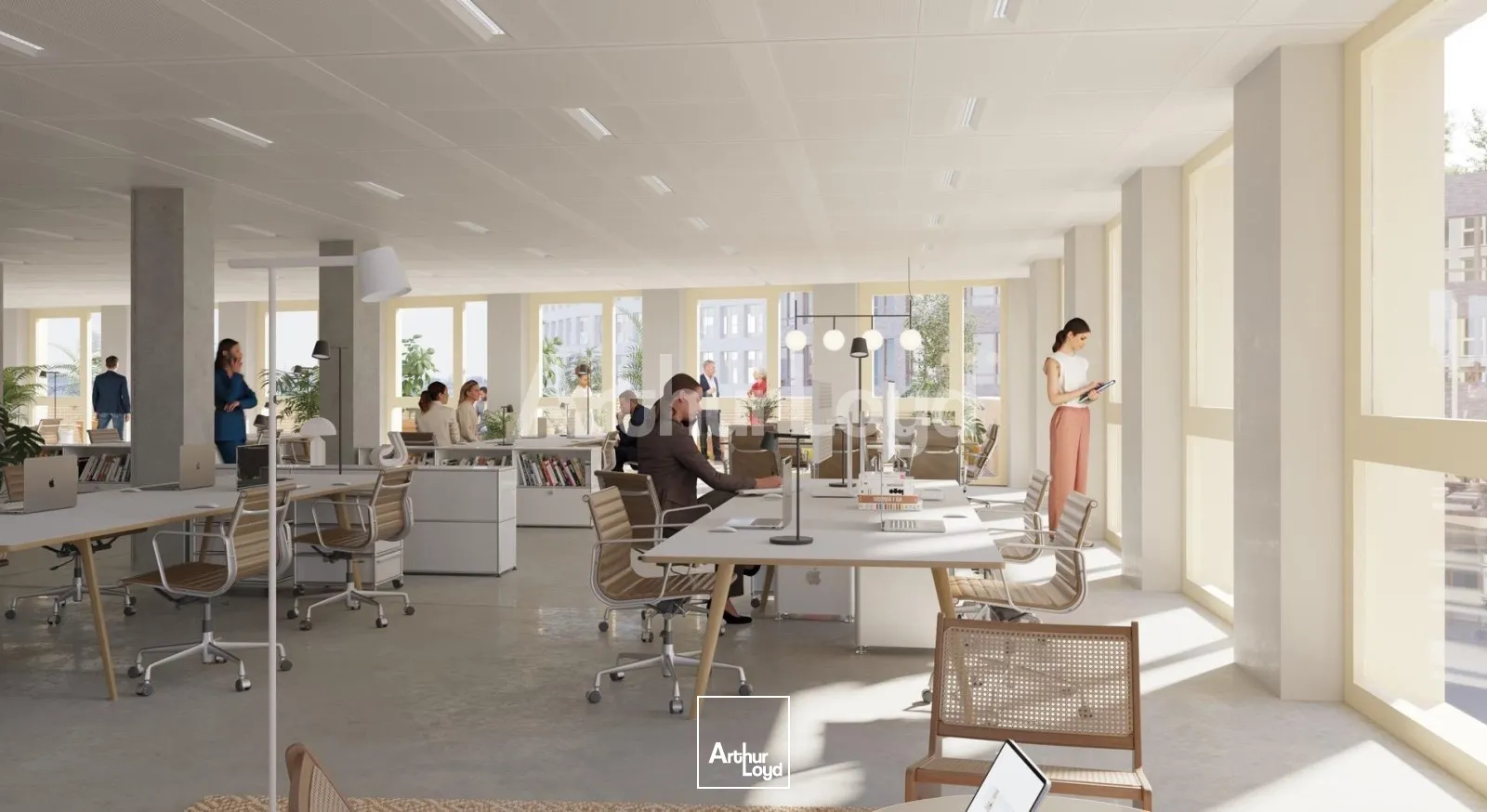 Bureaux - Location - LILLE - 59800 - 243-55361 - 7721600