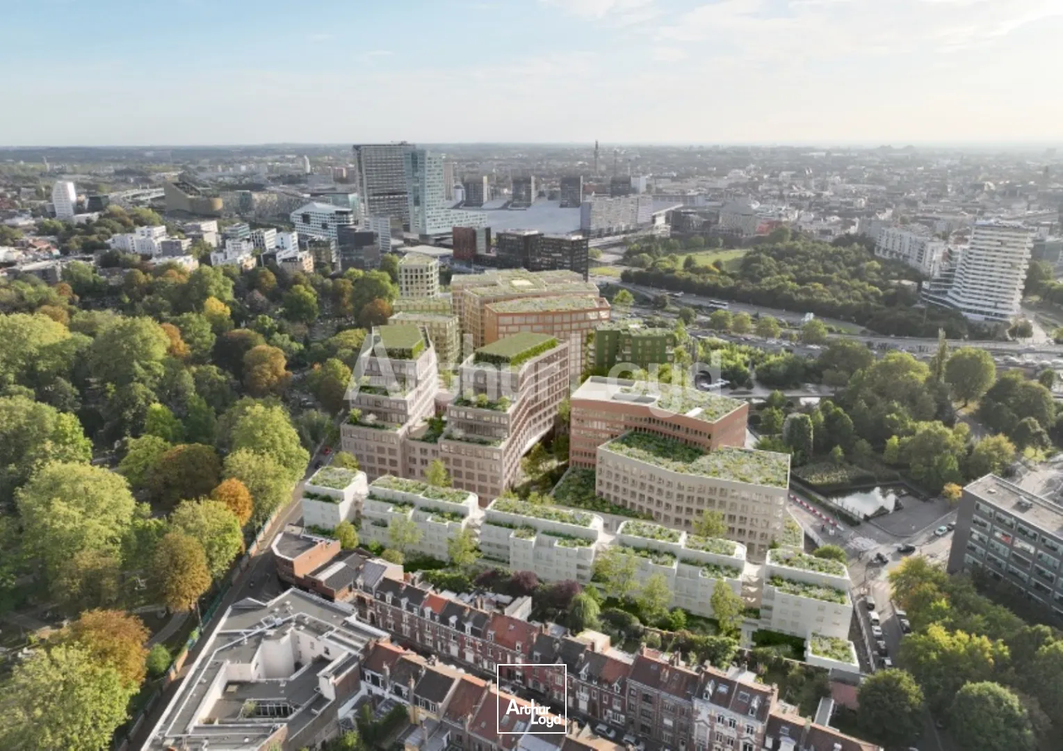 Bureaux - Location - LILLE - 59800 - 243-55361 - 7721596