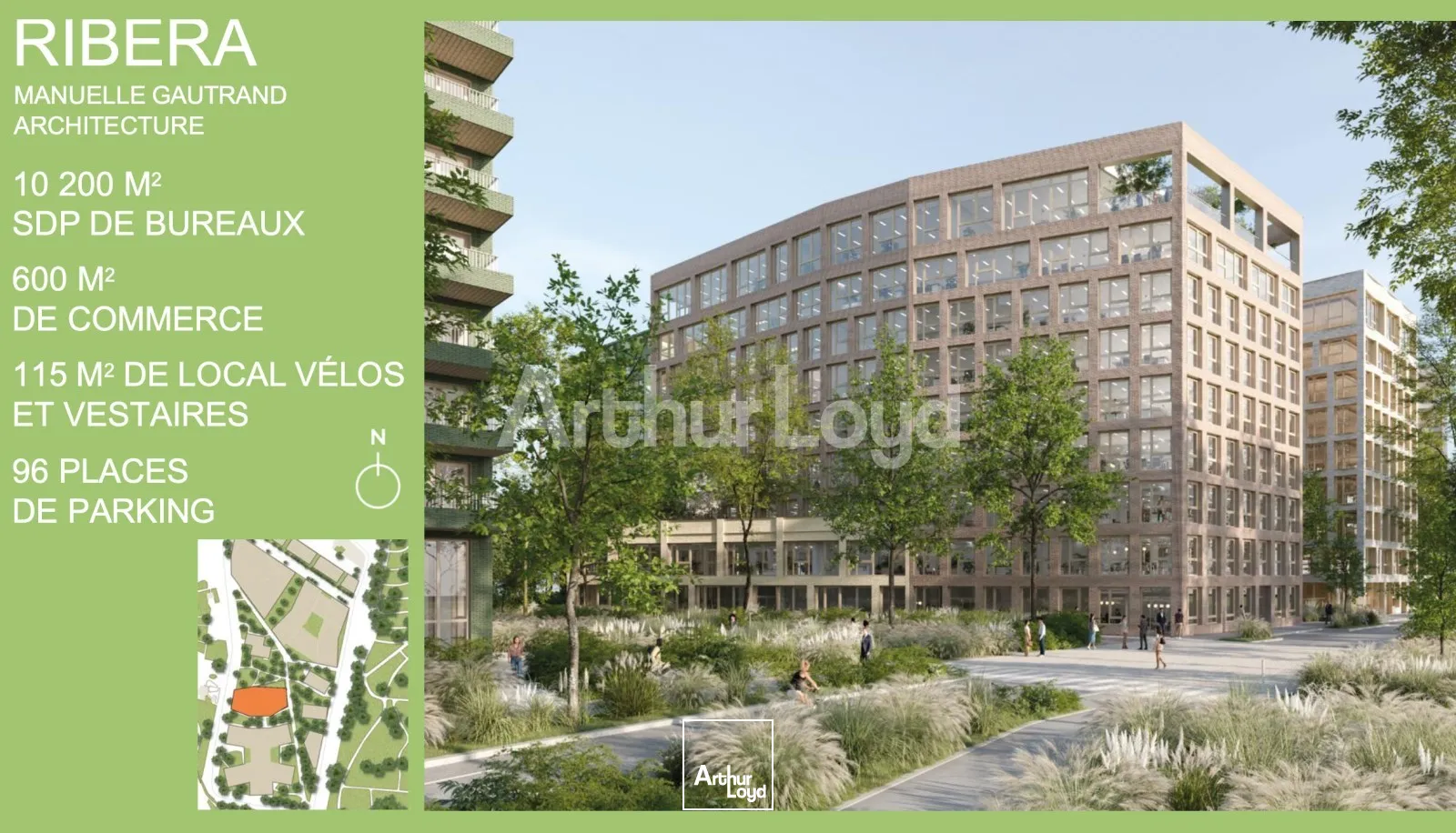 Bureaux - Location - LILLE - 59800 - 243-55361 - 7721599