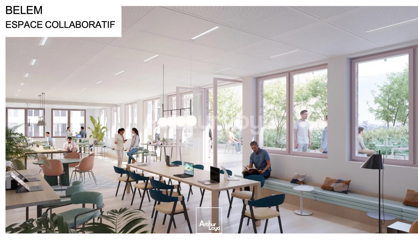 Bureaux - Location - LILLE - 59800 - 243-55361 - 7721620