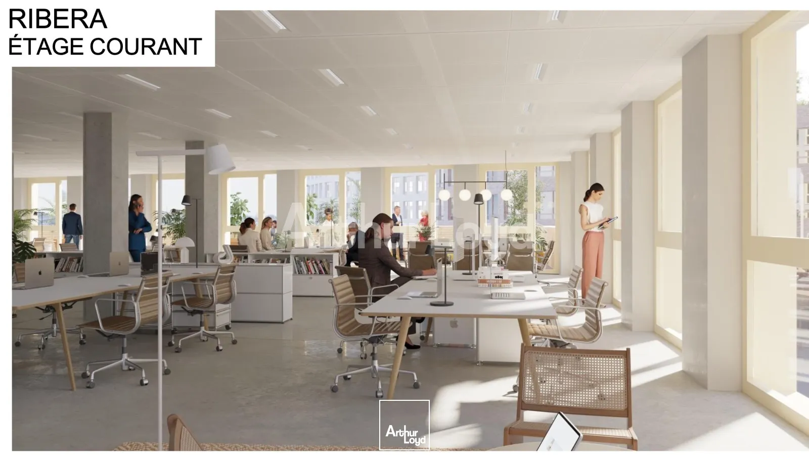 Bureaux - Location - LILLE - 59800 - 243-55361 - 7721616