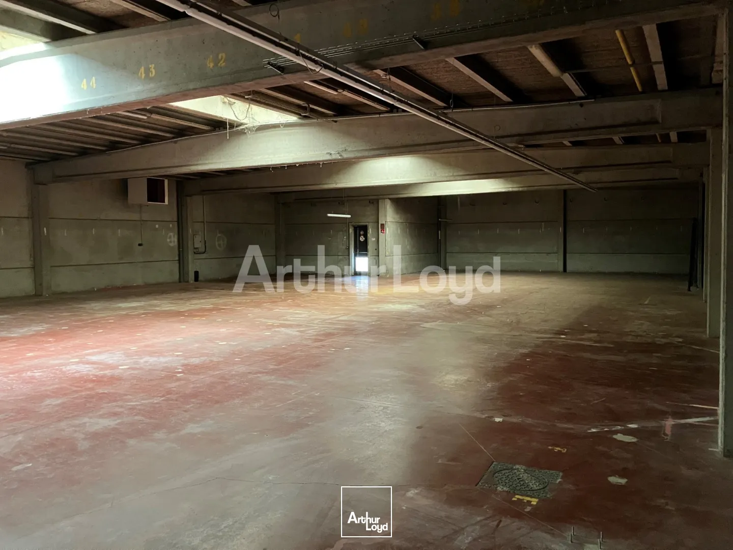Locaux d'activité & Entrepôts - Location - HALLUIN - 59250 - 2013-2013 - 7721660